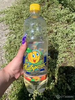 Живунчик