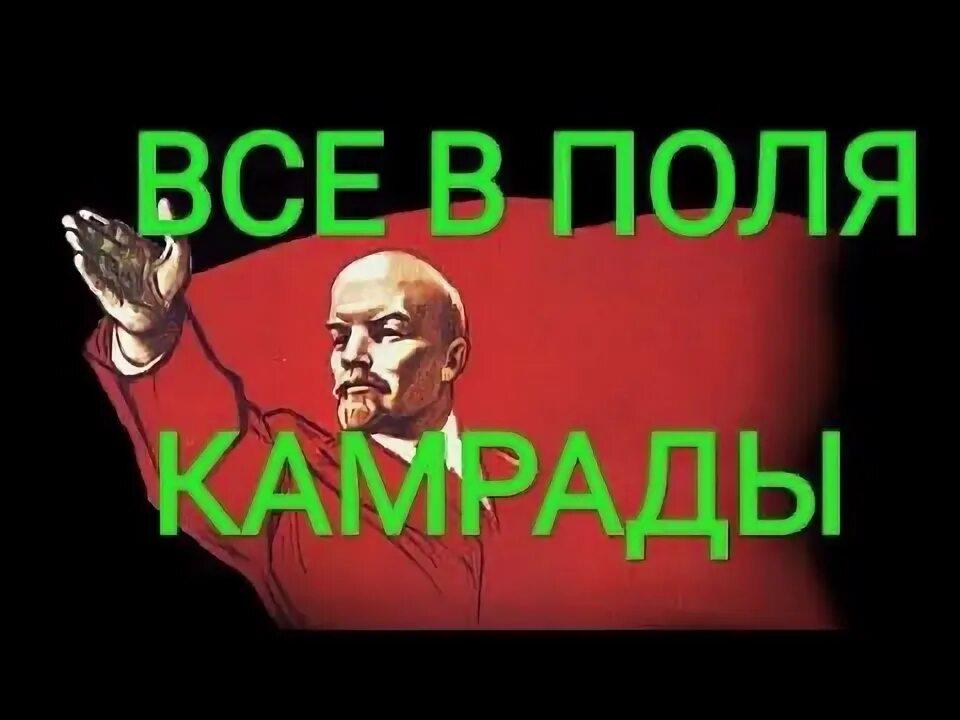 Камрад. Камрад Мем. Спасибо камрад. Кто такие камрады. Камрат