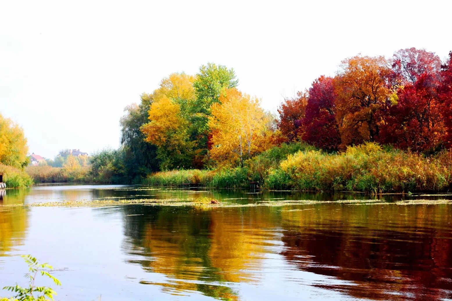 Рисунок осень. Олег щербаков пейзажи. Как художники изображают осеннюю пору. Золотая осень левитан 3 класс. Картина левитана осень сочинение.