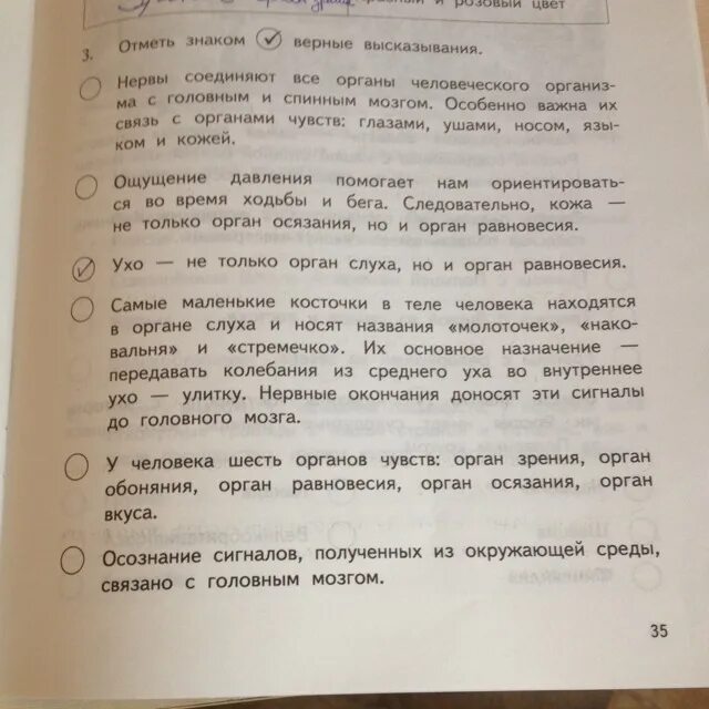 Отметьте верные. Отметь верные высказывания. Отметь знаком верные высказывания. Отметьте верные высказывания. Ответьте верные высказывания.