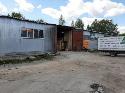 Азбука дерева новосибирск