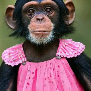 Жеке ресейлік ммф әйелімен