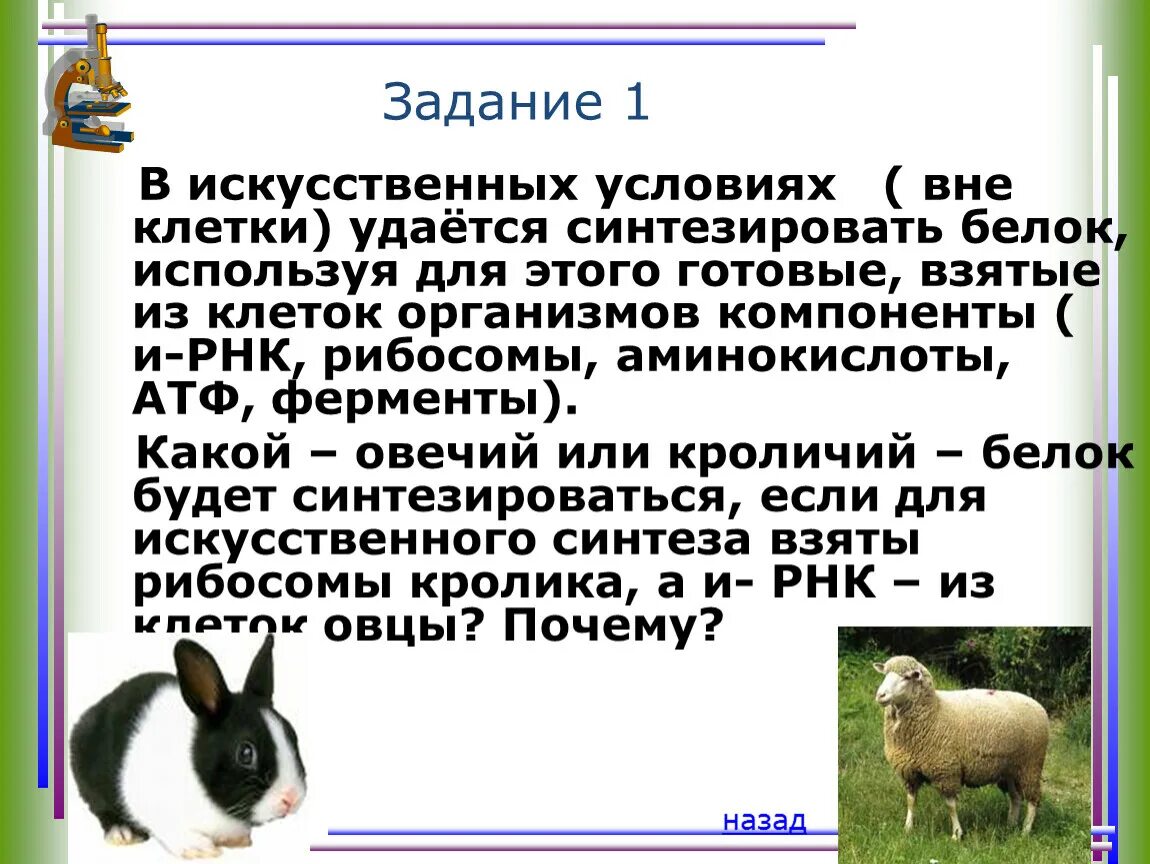 Первый белок полученный искусственным путем. Способы получения аминокислот. Первый белок полученный искусственным путем. Первый белок полученный искусственным путем. Первый белок полученный искусственным путем.