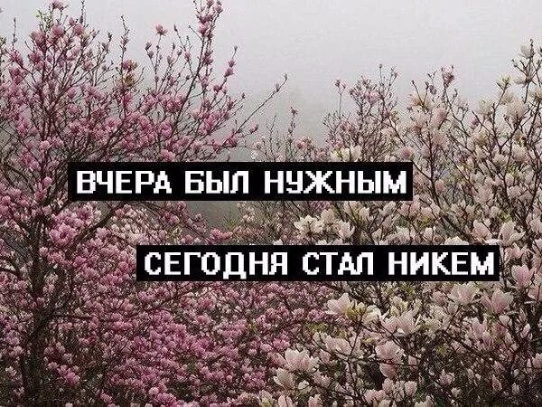 Стали никем. Никому не нужна цитаты. Ты никому не нужен цитаты. Никому не нужен в этой жизни. Я никому не нужен сохраненка.