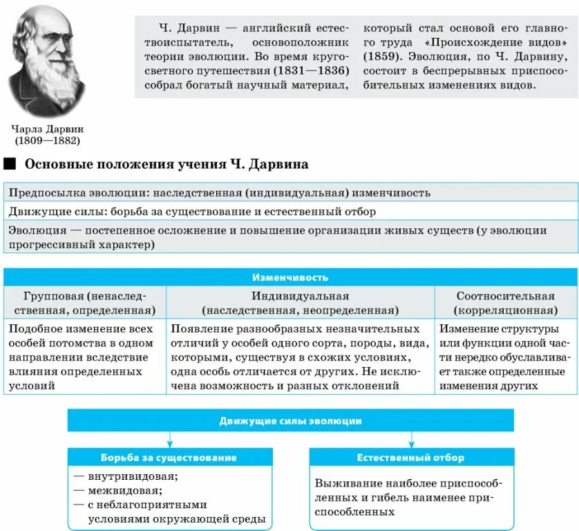 Таблица теории дарвина. Основные положения учения Дарвина. Основные положения эволюционного учения ч Дарвина. Положение учения Дарвина таблица. Таблица положения учения ч.Дарвина.