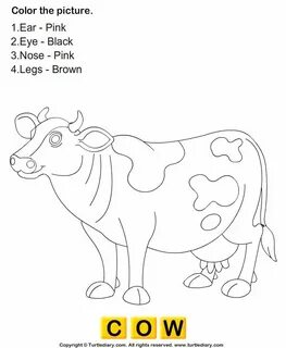 There is pigs cows and sheep