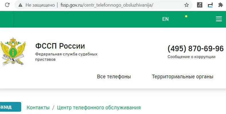 Служба судебных телефон горячей линии. Горячая линия судебных приставов. Горячая линия судебных приставов России. Горячая линия ФССП по России.