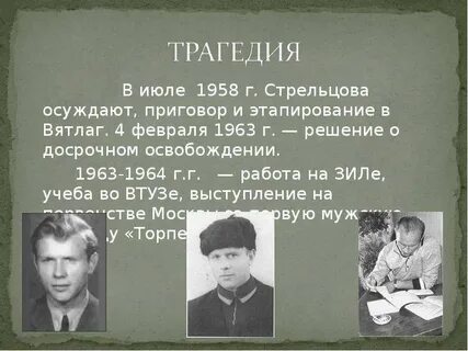 Родственник стрельцов