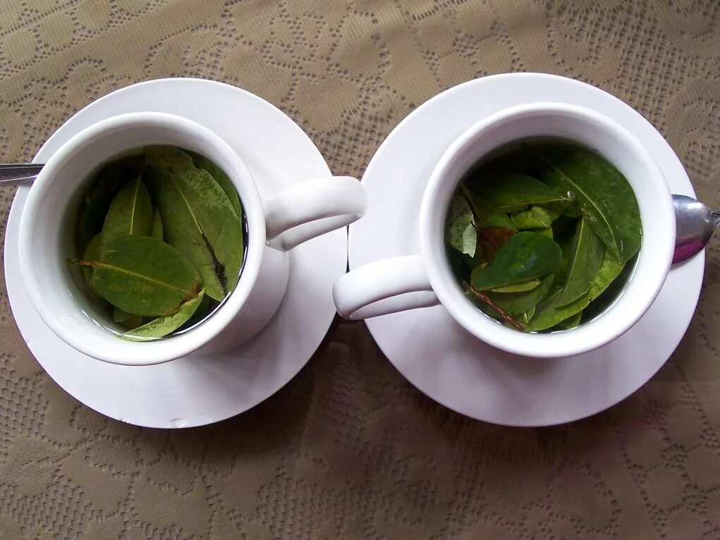 Настоенный или настоянный чай. Перуанский чай. Чай из листьев коки. Перуанский чай из листьев коки. Колумбийский чай.