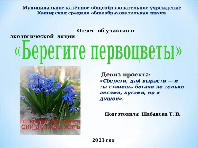 Акция первоцветы в детском саду. Акция берегите первоцветы. Экологическая акция первоцвет. Акция первоцветы в школе. Акция берегите первоцветы в детском саду.