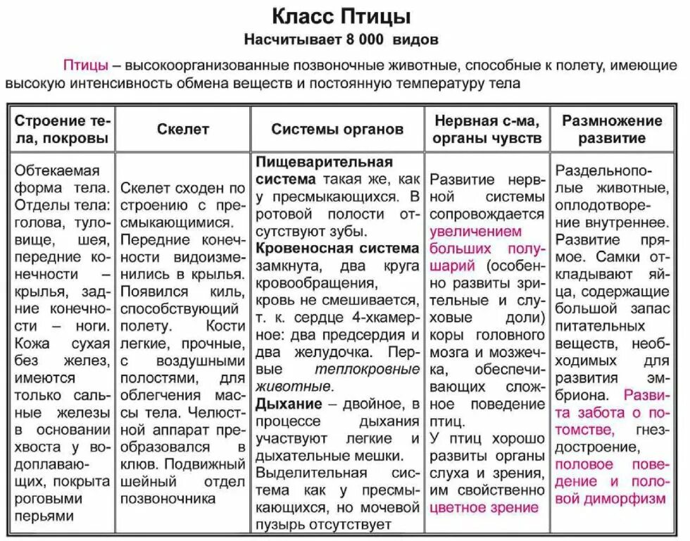 Строение птиц таблица 8 класс. Класс птицы 7 класс биология таблица общая характеристика. Таблица строение птиц биология 7 класс. Характеристика птиц таблица по биологии 7 класс. Типы птиц 7 класс биология таблица.