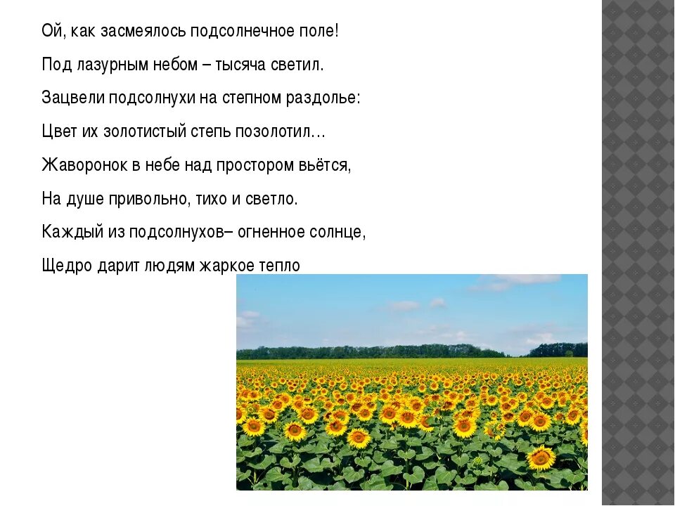 Кубановедение 3 класс твои земляки труженики. Знаменитые труженики полей кубани. сообщение на тему труженик полей кубани. труженики родной земли краснодарский край. труженики полей краснодарского края.