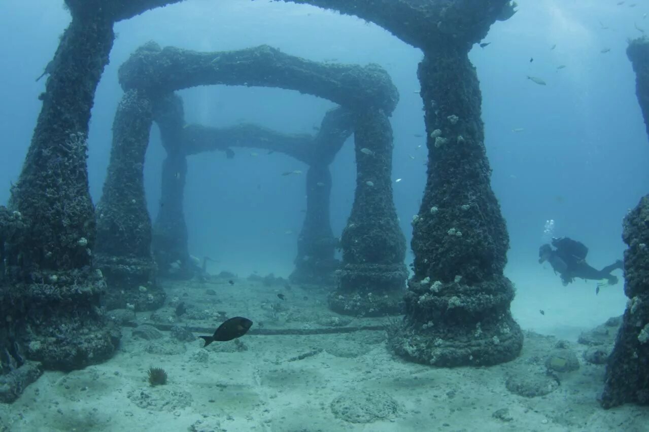 Где на дне океана. Подводное кладбище Neptune Memorial Reef. Кладбище дайверов подводный риф Нептуна. Мемориальный риф Нептуна (Neptune Memorial Reef), США. Мемориальный риф Нептуна (Майами, Флорида).
