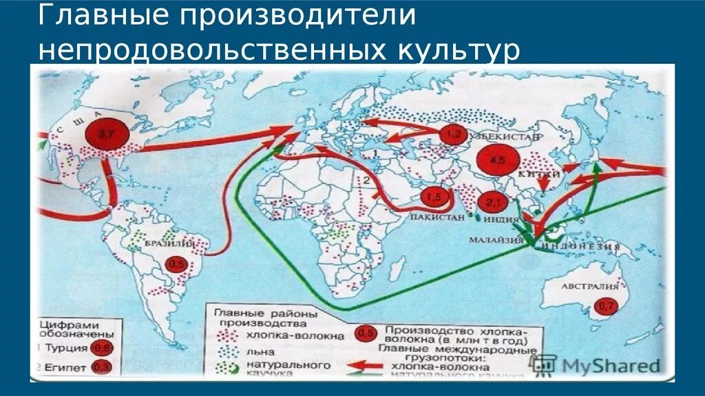 Непродовольственные культуры. Производство хлопка на карте. Непродовольственные культуры страны производители. Производство хлопка-волокна страны производители.