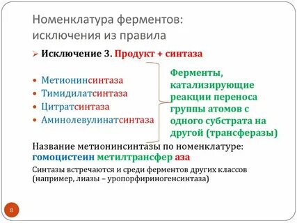 Характеристика каждого фермента