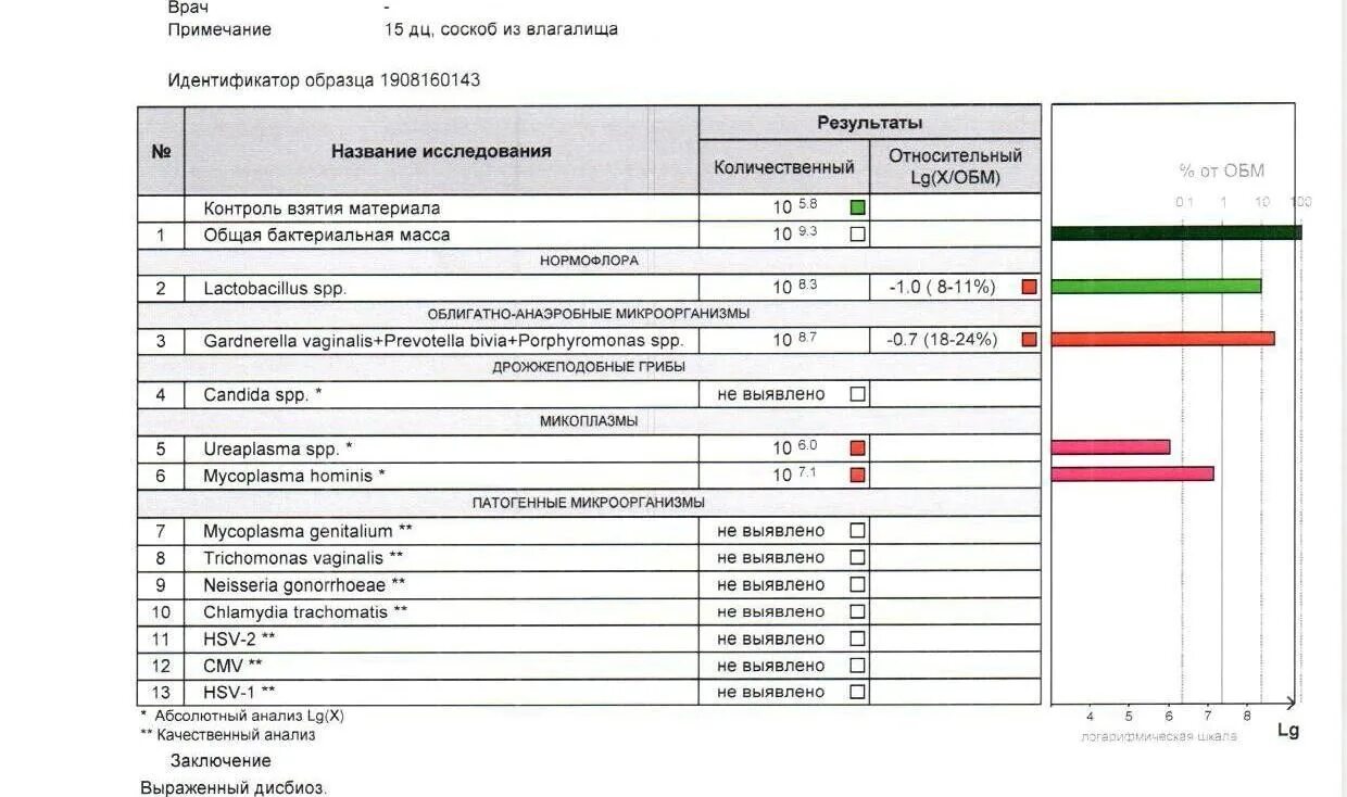 ПЦР Фемофлор скрин 13. Анализ Фемофлор 13 расшифровка. ПЦР Фемофлор 13 расшифровка. Расшифровка анализа Фемофлор скрин 13. Lactobacillus spp у мужчин