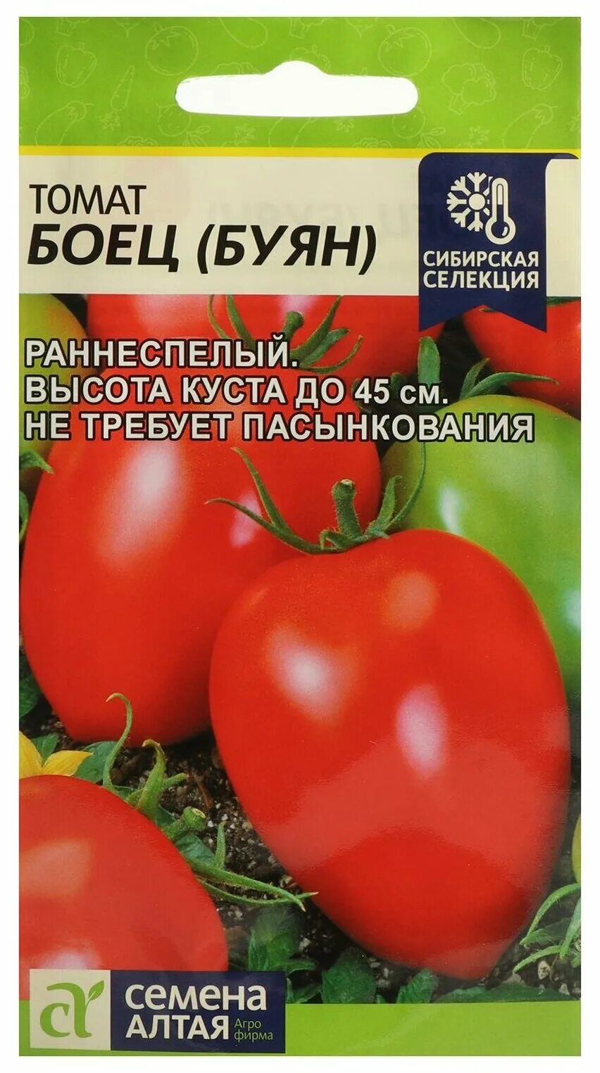 Семена Алтая боец Буян. Томат Буян боец семена Алтая. Томат Сибирский Пируэт семена Алтая. Семена томат боец (Буян).