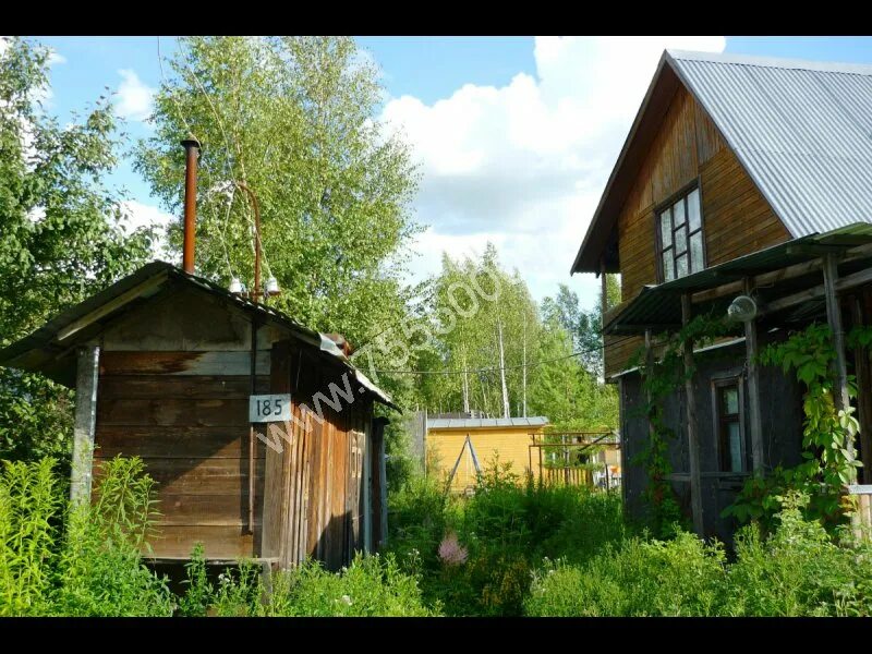 Перевести дачный дом в жилой. Домодедово дачи. Требования к дачному домику для прописки. Лесная 5 пермь. Приватизация земельных участков.