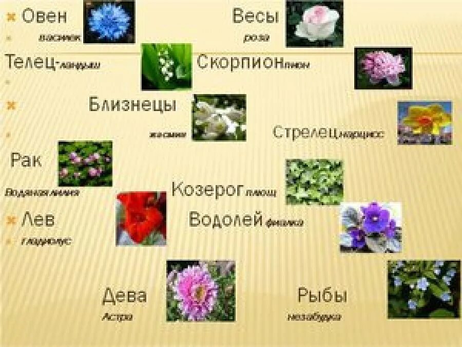 Цветок 20 апреля