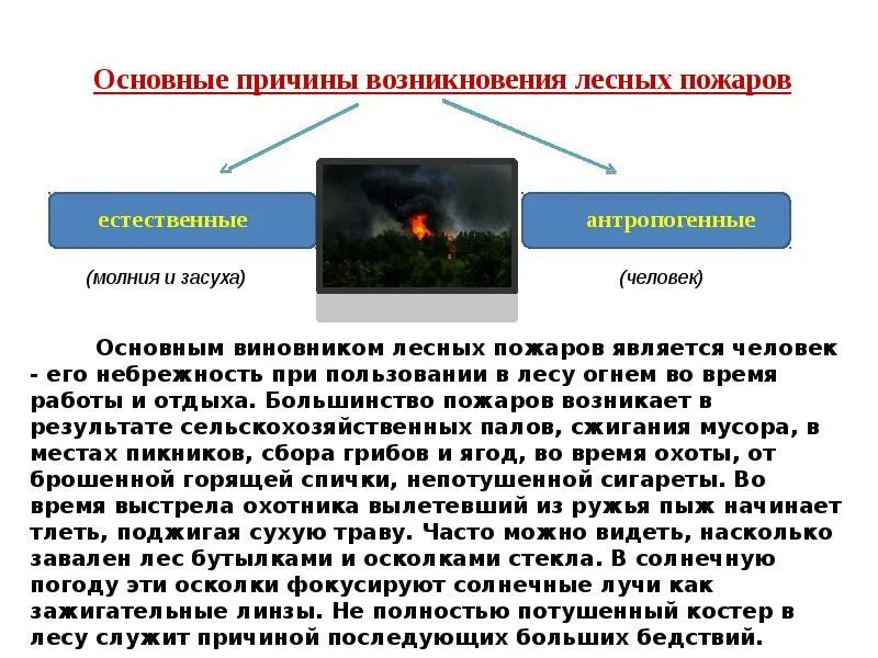 Природные и антропогенные причины возникновения природных пожаров. Природные и антропогенные причины возникновения природных пожаров. Природные и антропогенные причины возникновения природных пожаров. Причины возникновения природных пожаров. Основные причины «печных» пожаров.