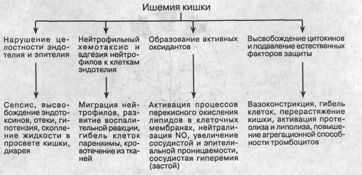 Ишемия лечение препараты. Ишемический инфаркт кишечника. Острая ишемия кишечника.