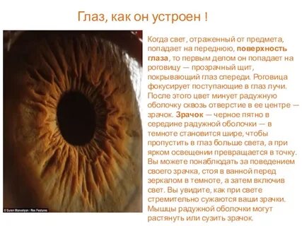 Глаз начинает воспринимать цвет предмета наблюдения