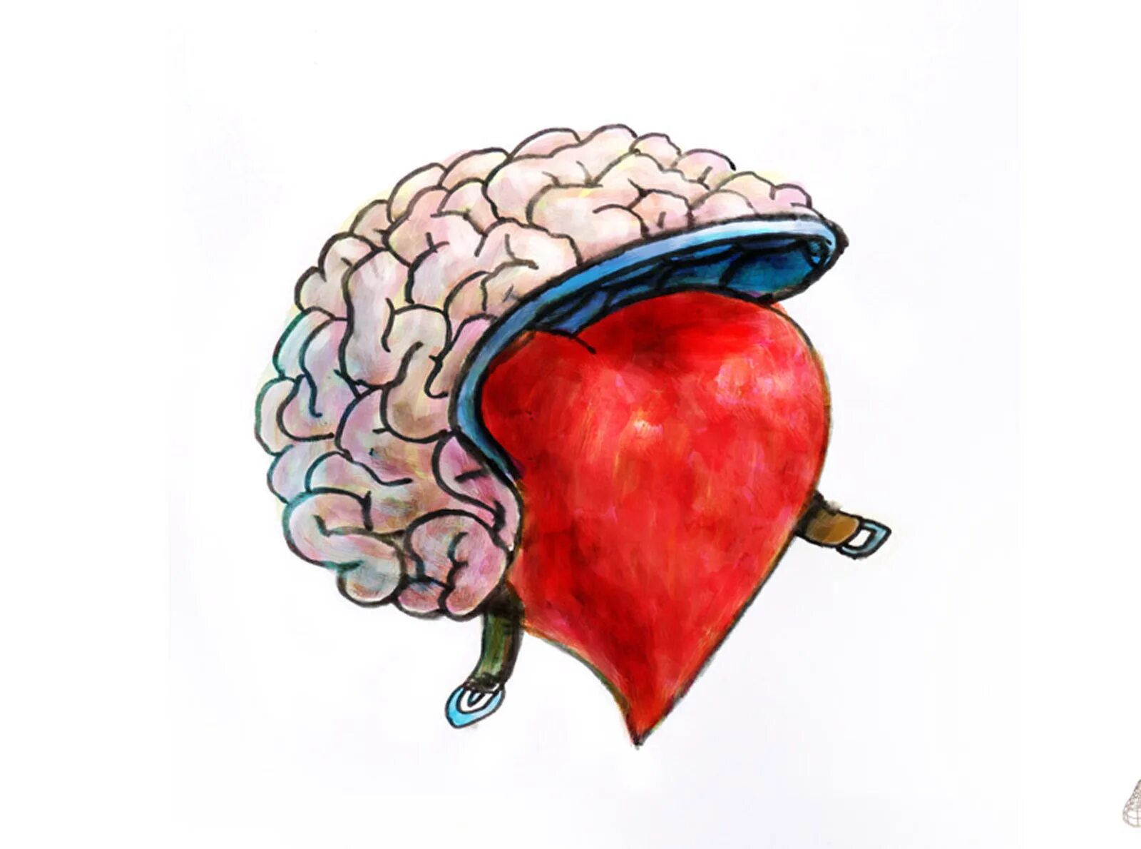 Мозг и сердце. Ум и сердце. Сердце и разум. Мозг в виде сердца.