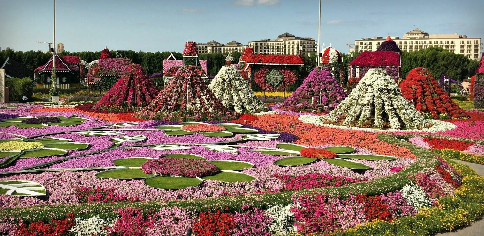 Miracle Garden Дубай. Парк цветов в Дубае. Миракл Гарден парк цветов Дубай. Сад чудес (Miracle Garden).