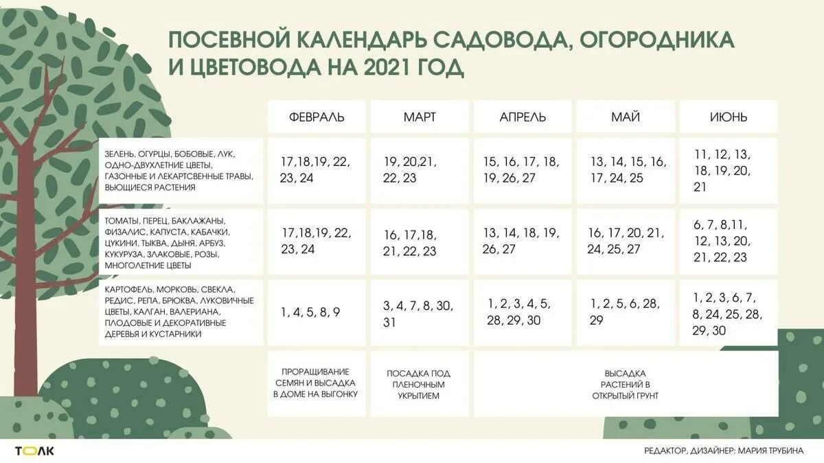 06 02 2025. Лунный календарь 2025 огородника. календарь посадки рассады. благоприятные дни для посадки 2025. благоприятные дни в феврале для посадки овощей.