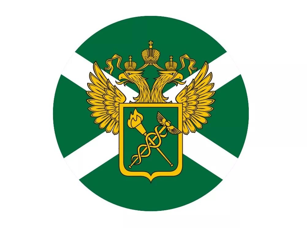 Правовое положение таможенной службы. Символика таможенных органов россии. Деятельность федеральной таможенной службы. Фтс функции таможенных органов. Федеральная таможенная служба.