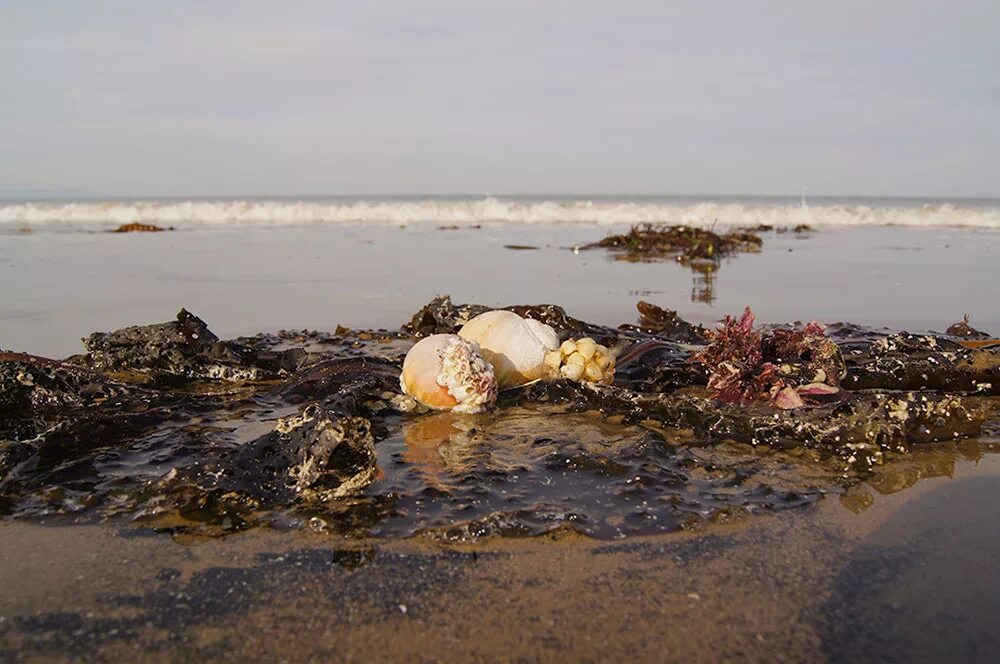 оха зимой. сахком ноглики. сахалин новости погода. южный сахалин город оха. сахалин новости погода.