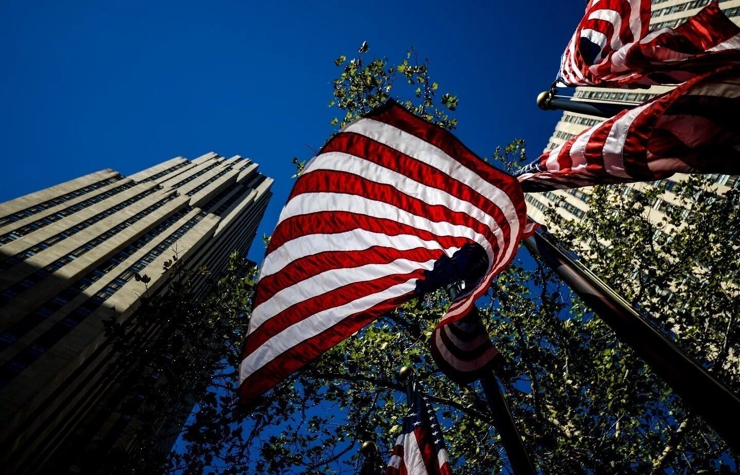 Флаг США. Нью Йорк с флагом США. Американский флаг на здании. Флаги американских городов.
