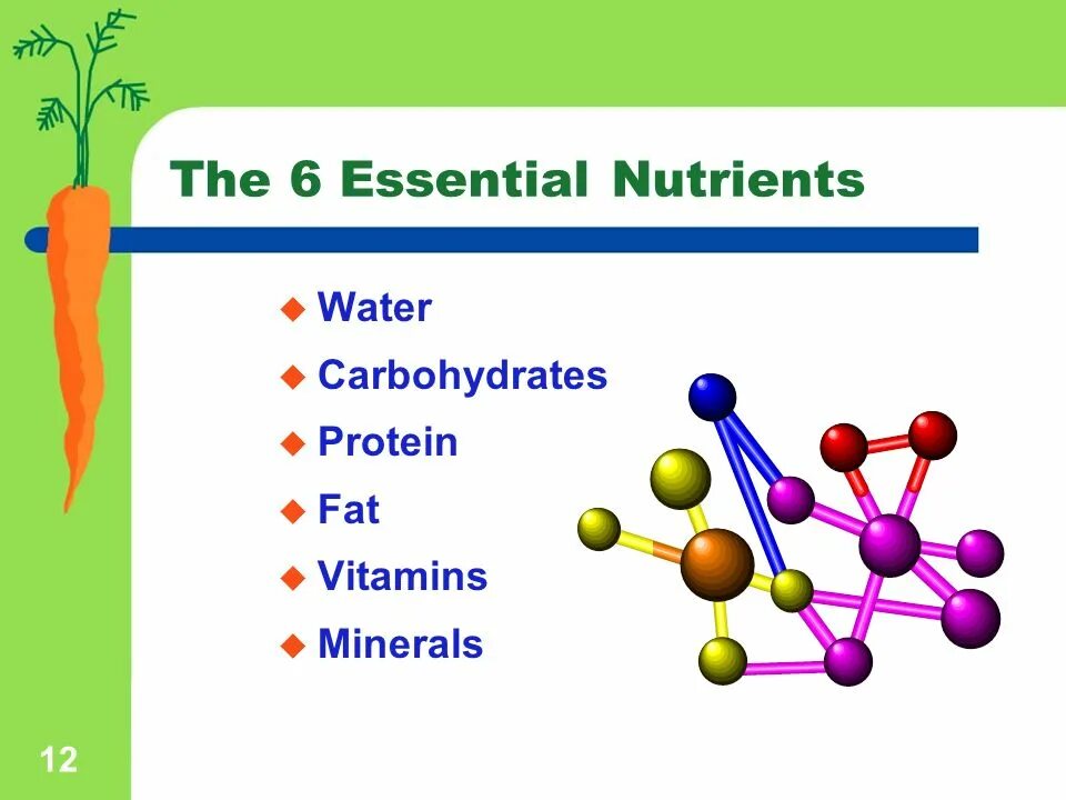 Protein minerals vitamins. Essential nutrients. Functions of carbohydrates. Protein fat Minerals Water carbohydrate тема урока 7 класса. Basic nutrients. Carbohydrates fats Proteins 1:1:4.