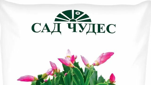 Грунт универсальный сад чудес 25 л. Грунт фарт 2,5л бегония. Сад чудес краснодар. Грунт сад чудес лимон. Грунт универсальный 5л сад чудес норд палп.