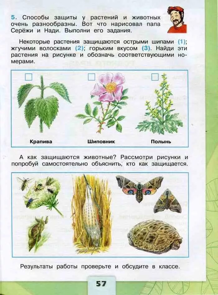 Окружающий мир страница 55 упражнение. Окружающий мир 3 класс рабочая тетрадь 1 часть стр 57 тетрадь. рабочая тетрадь по окружающему миру 3 класс плешаков стр 57. домашние задания окружающий мир. окружающий мир 3 класс рабочая тетрадь 1 часть стр 57.