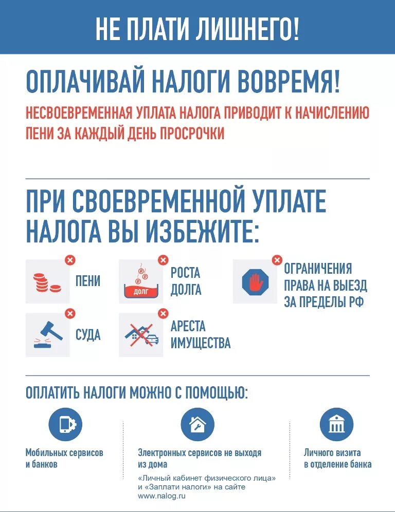 Если оплатил налоги позже. Налоги надо платить. Платить налоги. Имущественные налоги. Плакат заплатить налоги до 1 декабря.
