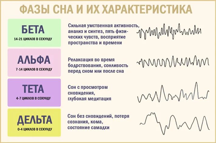 Взрослое время. Длительность фаз сна. Основные фазы сна. Нормальный график фаз сна. 4 Фазы медленного сна.