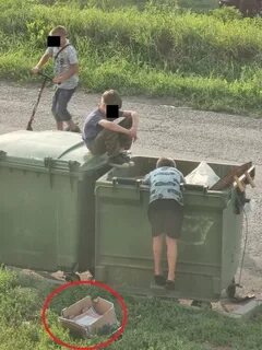 Лазаю по мусоркам