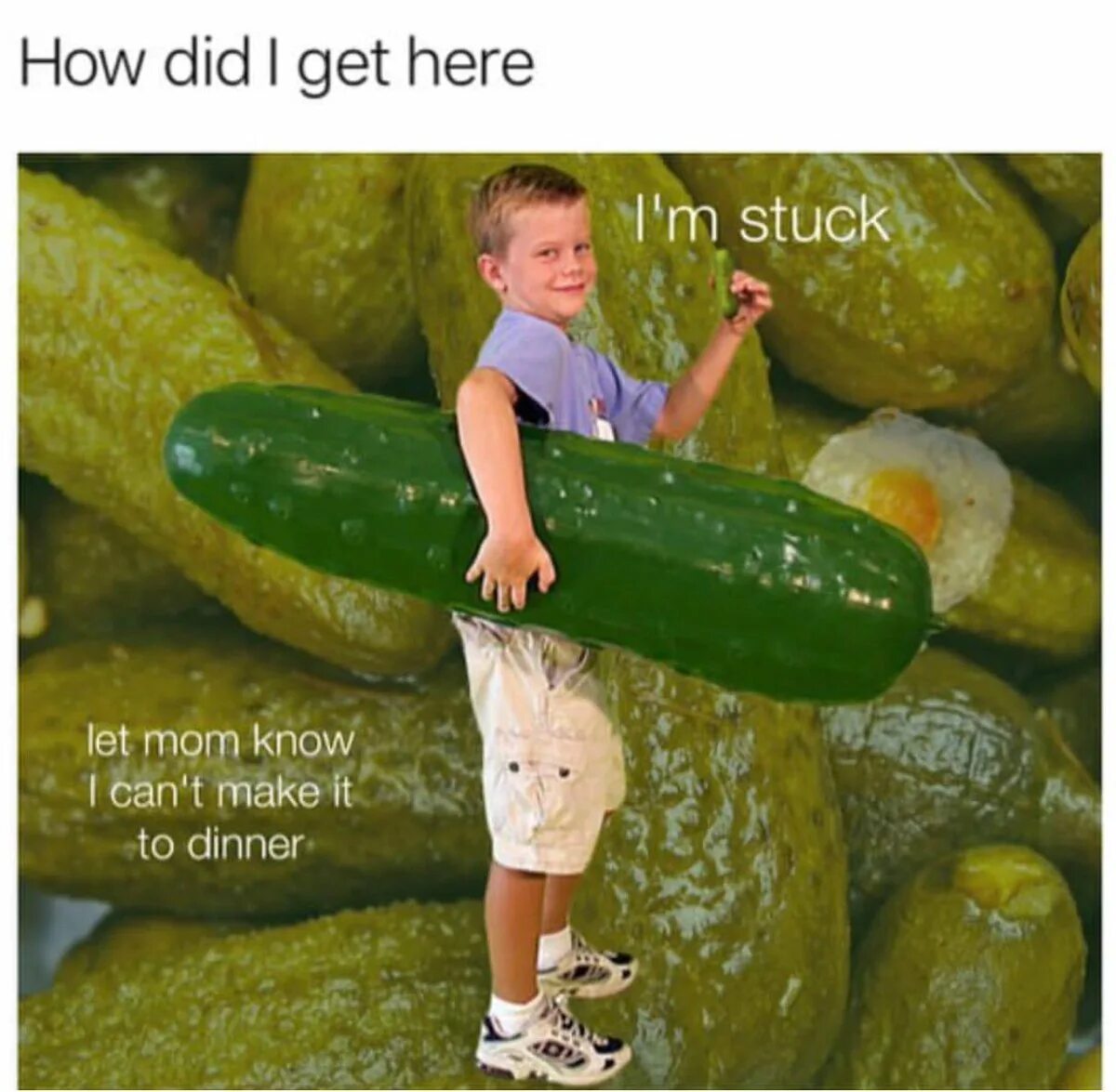 Get in here. Im in a pickle. to be in a pickle. in a pickle в современных текстах. how did i get here?.