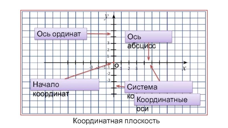 Сумма абсцисс и ординат точки. Ось ординат на координатной плоскости. Ось абсцисс. Ось абсцисс и ось ординат. Абсцисса и ордината.