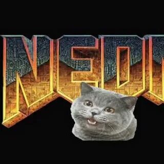 Zippocat video