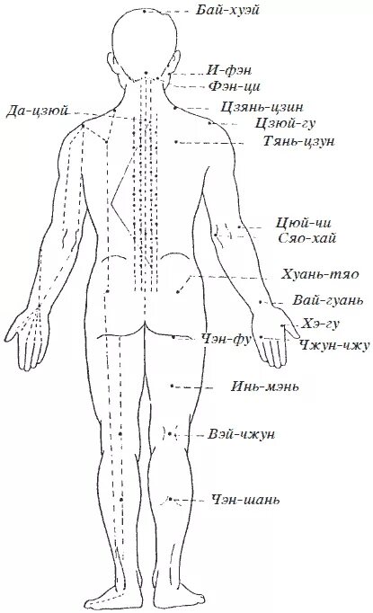 Названия точек человека. Акупунктура меридианы тела человека схема. Меридианы человека схема и точки акупунктуры. Акупунктура меридианы китайская медицина. Акупунктура схема точек на теле.