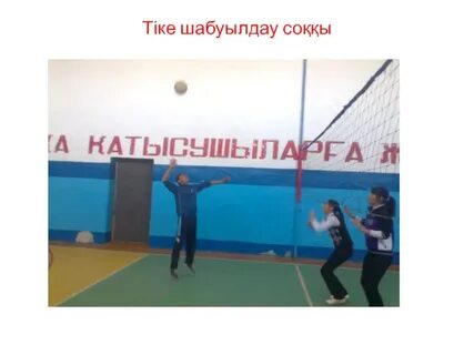 Хардкор транссексуалдар