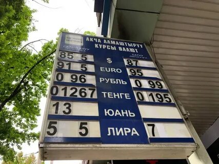 Курс бир ойлик