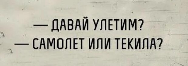 Просто давай улетим. Давай улетим самолет или текила. Фразы про текилу. Шутки про текилу. Текила прикол.