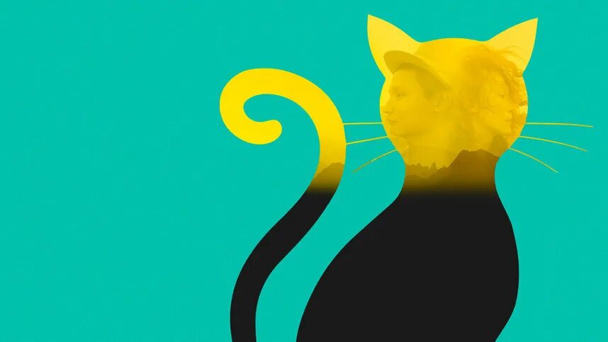 Игра желтая кошка. Желтая кошка. Желтая шаблон кошка. Желтая кошка рисунок.