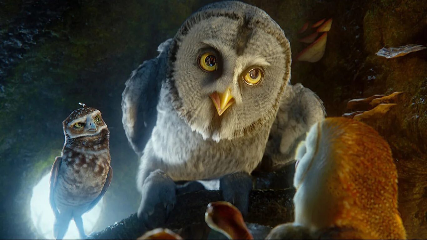 Ga hoole guardians the owls legend. Мультфильм про сов легенды ночных стражей. Легенды ночных стражей 2010. Мультик про сов ночные Стражи. Сипуха легенды ночных стражей.