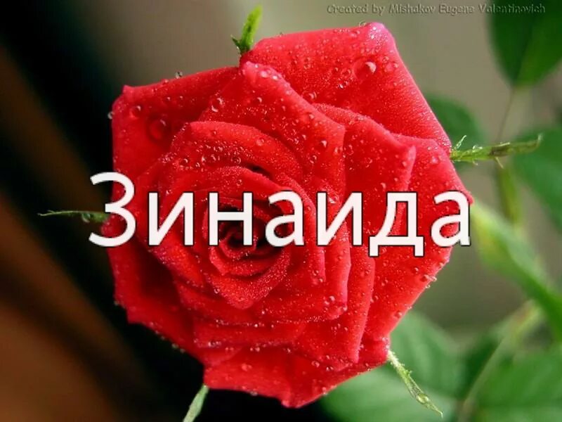 день имени зинаиды. именины зинаиды поздравления. день ангела. святая зинаида икона. поздравление с днем рождения ангела.