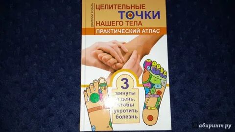 Практический организм