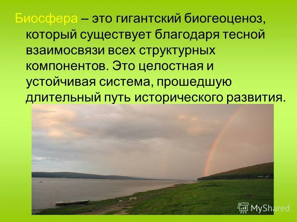 Биологическая жизнь система. Примеры существования поверхностного натяжения воды. 24. Биосферный. Благодаря растениям существует жизнь на земле.